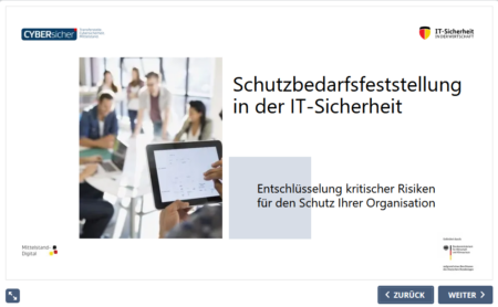 Schutzbedarfsfeststellung in der IT-Sicherheit