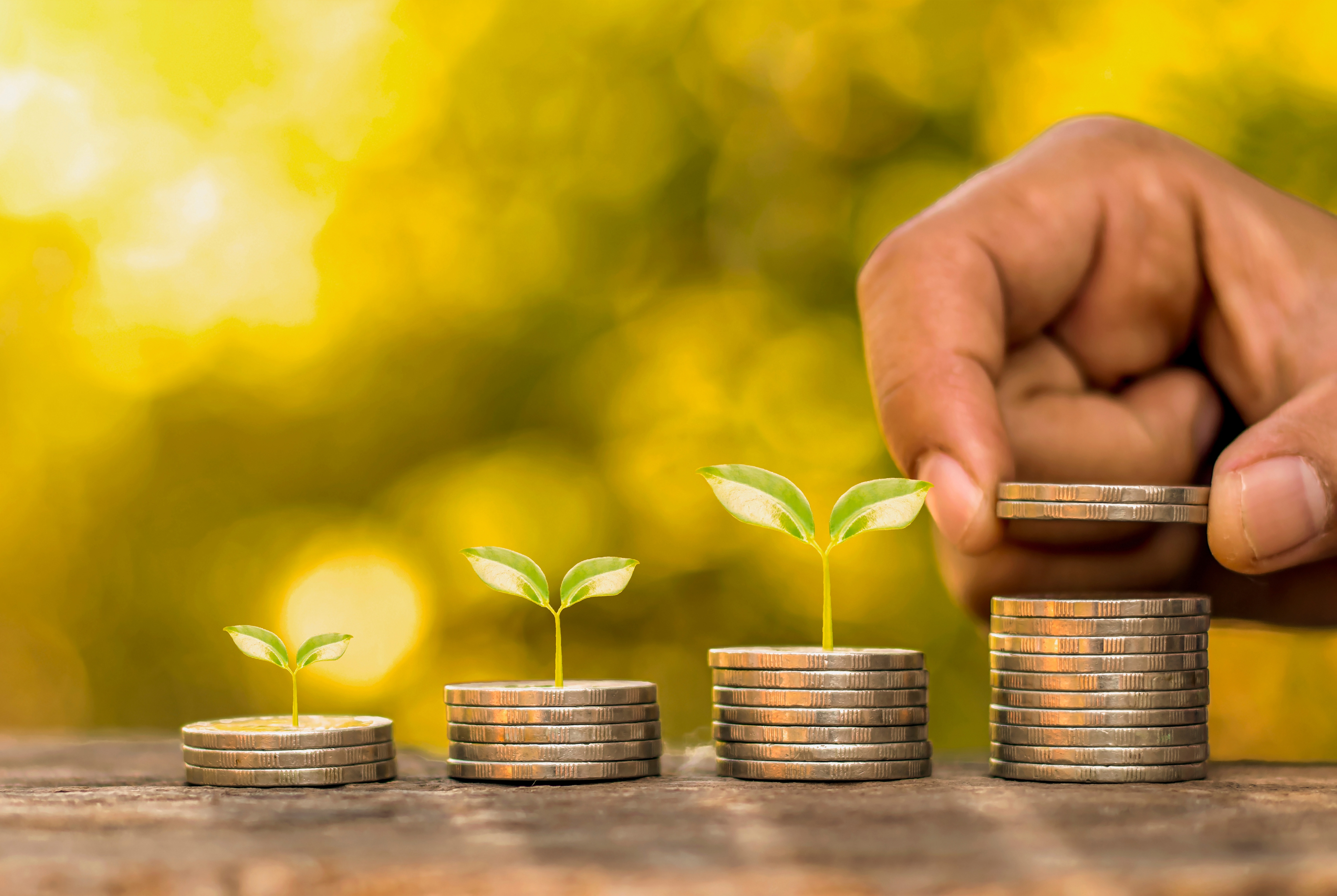 Vorschaubild zum Förderprogramm Artikel: Eine Hand, die Geld sammelt. 